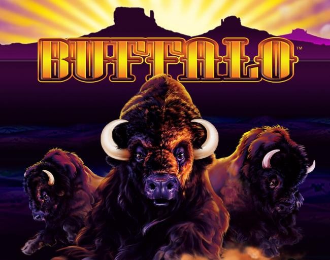 Buffalo
