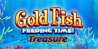 Gold Fish